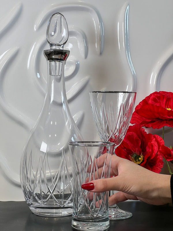 ACAR AQUA COLLECTION PLATIN 25 parça bardak seti